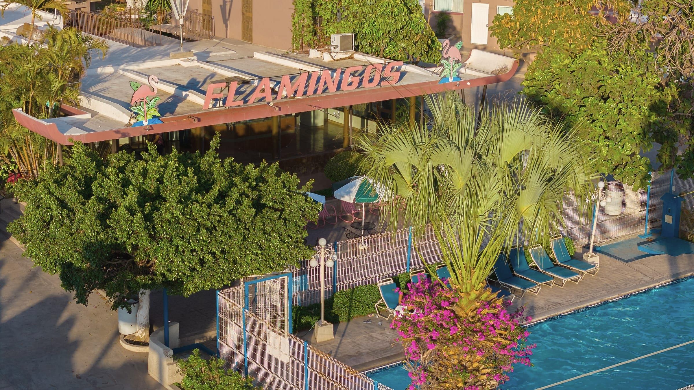 Hotel Flamingos: letrero, alberca y palmeras vistos desde el aire